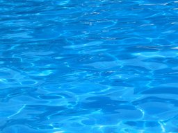 [Water in a tank at Sea World]